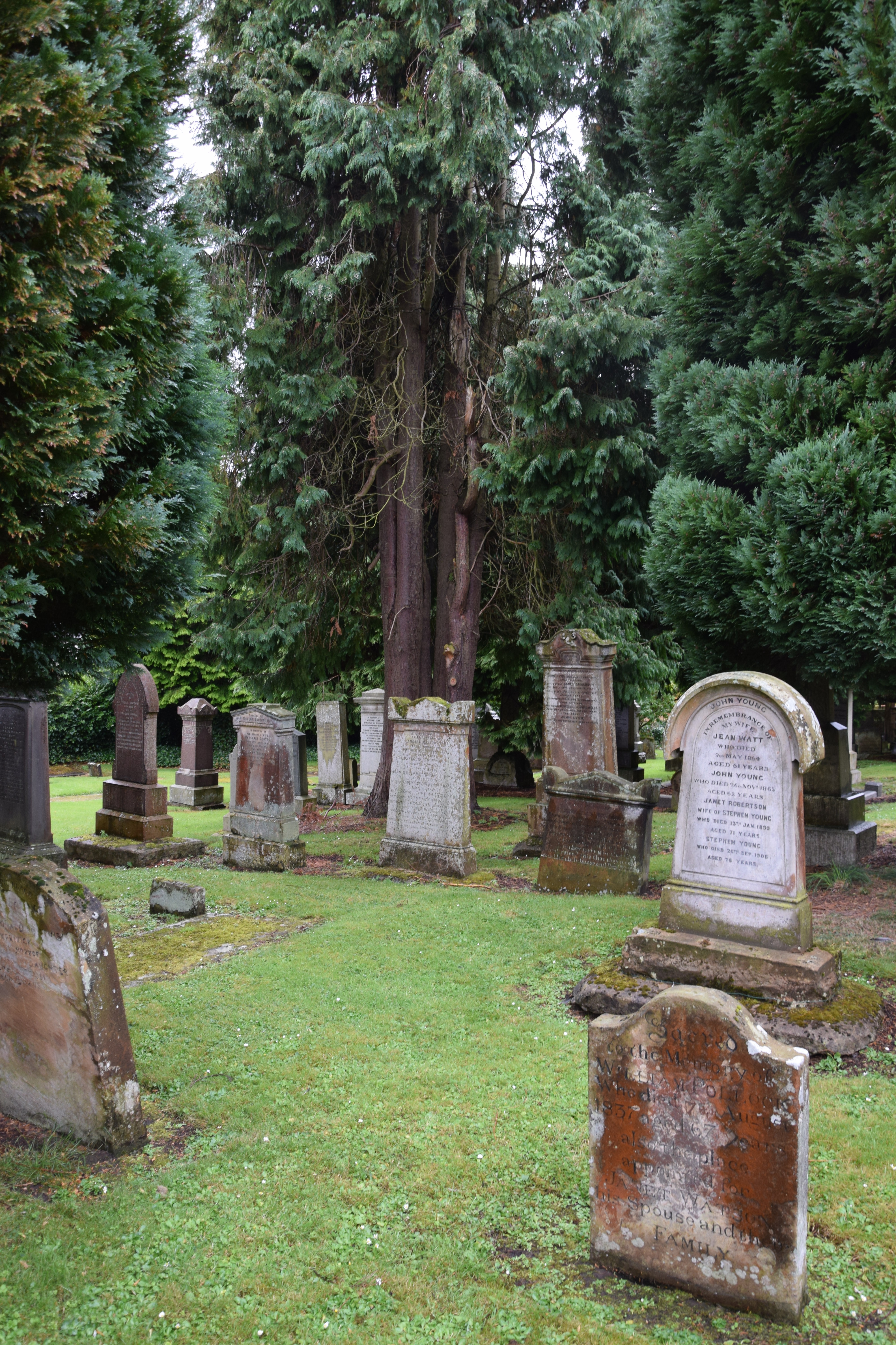 EKOPC GRAVEYARD STONES AND TREES DSC 0042