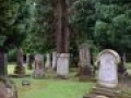 EKOPC GRAVEYARD STONES AND TREES DSC 0042