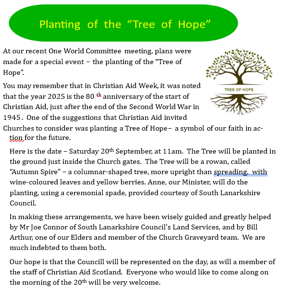 septree25